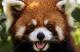haiduong87's avatar