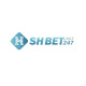 shbetscasino's avatar