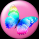 getintopc's avatar