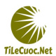 tilecuocorg's avatar