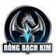 rongbachkimglobal's avatar