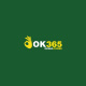 ok365codes's avatar