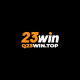 q23wintop's avatar