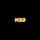 h22co's avatar