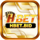 hbetbid's avatar