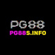 pg88sinfo's avatar