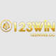 123winscc's avatar