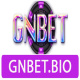 gnbetbio's avatar