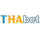 thabetplus's avatar