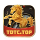 tdtc01a's avatar