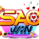 saowinorg's avatar