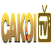 cakoitvcom's avatar