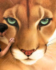 stanbic-bank-ussd-code's avatar