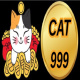 cat999dev's avatar