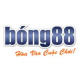 webgamebong88com's avatar