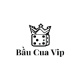 baucuavvipcom's avatar