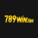 789wintips's avatar