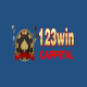 123wincapital's avatar