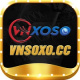 vnsoxocc's avatar