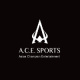 acetiyucc's avatar