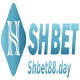 shbet88day's avatar
