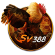 sv388buzz's avatar