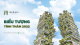 banggiaecoparkvn's avatar