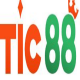 tic88net's avatar