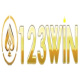 0123winhost's avatar