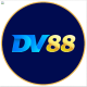 dv88vipcom's avatar