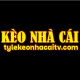 tylekeonhacaitvcom's avatar