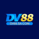 dv88sacom's avatar
