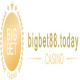 bigbet88today's avatar