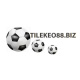 tilekeo88biz's avatar