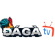 webdagathomo's avatar