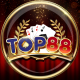 top88download's avatar