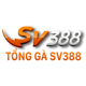 sv388 tong's avatar