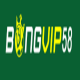 bongvip58org's avatar