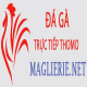 dagamaglierie's avatar