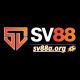 sv88aorg's avatar