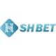 bshbetcom's avatar