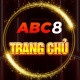 abc8comonline's avatar