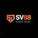sv88cxvn's avatar