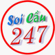 247retrocom's avatar