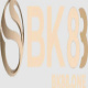 bk8pro's avatar