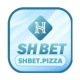 shbetpizzaa's avatar