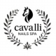cavallinailsspacom's avatar