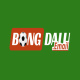 bongdaluemail's avatar