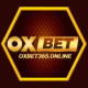 oxbet365online's avatar