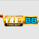 tin88best's avatar